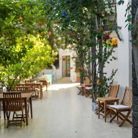 Eden Pyara Szálloda 5*