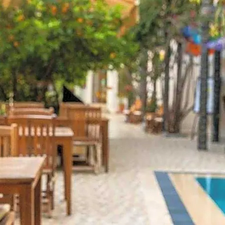 Eden Pyara Hotel Turunc